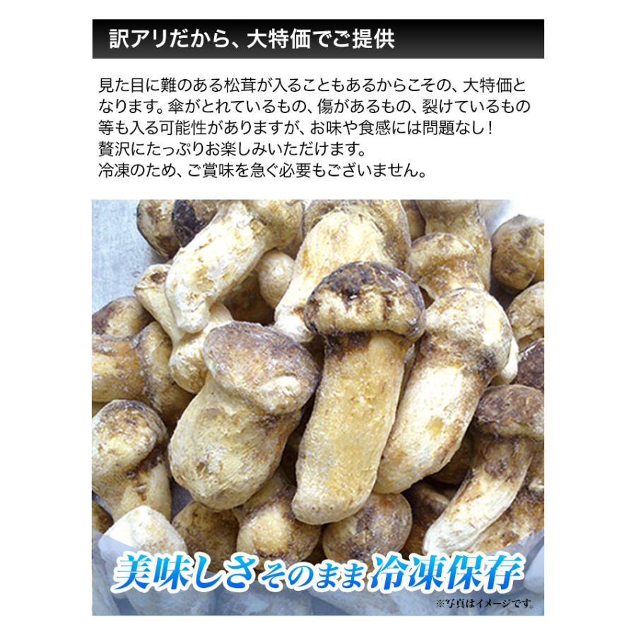 松茸 北海道 700g 訳あり 送料込 松茸 北海道 700g 訳あり 送料