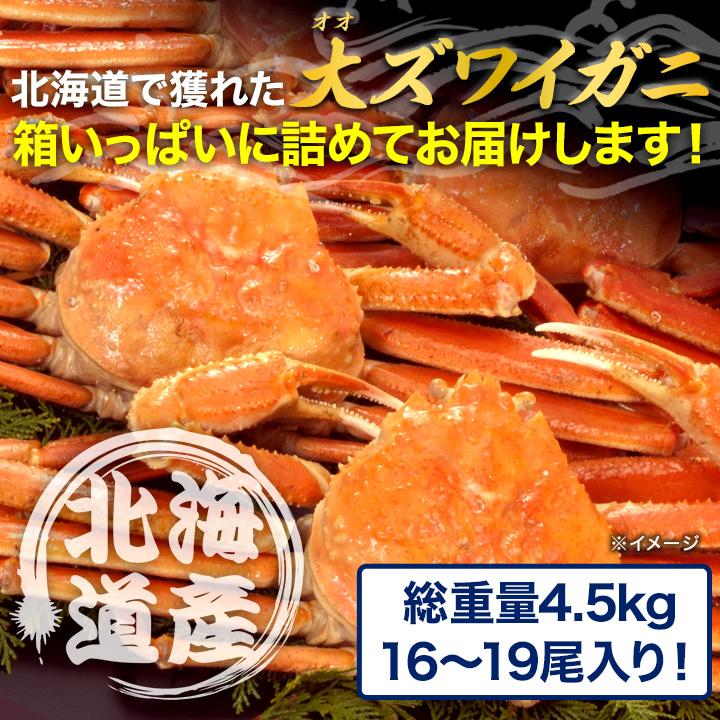 約4.5kg 16〜19尾 かに カニ 蟹 カニミソ カニ味噌 姿 鮮度抜群 ボイル