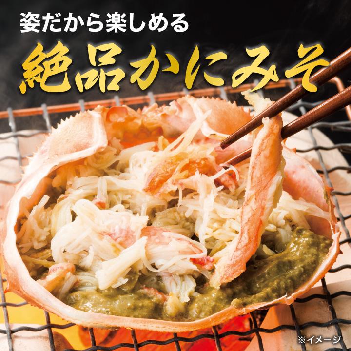 約4.5kg 16〜19尾 かに カニ 蟹 カニミソ カニ味噌 姿 鮮度抜群 ボイル