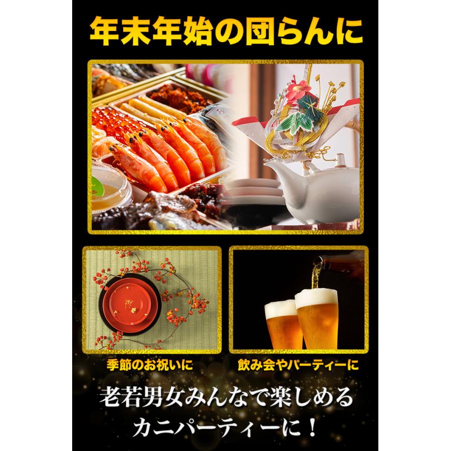 クオリティライフ　KANI /カニ　コズミックカニミソ　未使用品 gizmo-y_ql1126kani