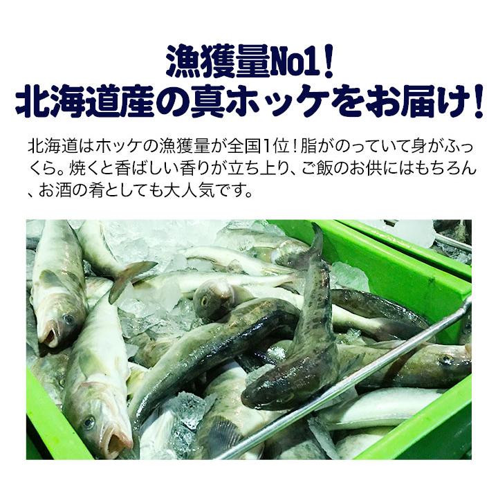 快適生活 北海道 ホッケ 冷凍 北海道稚内産「一夜干し真ほっけ