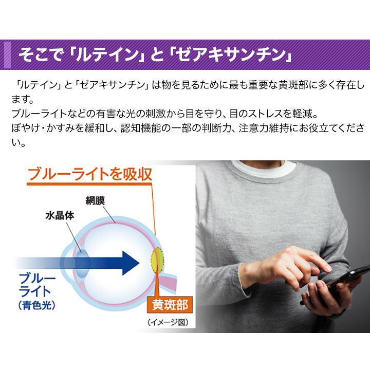 快適生活 機能性表示食品「ひとみルテイン」3袋 爆買 : 快適生活
