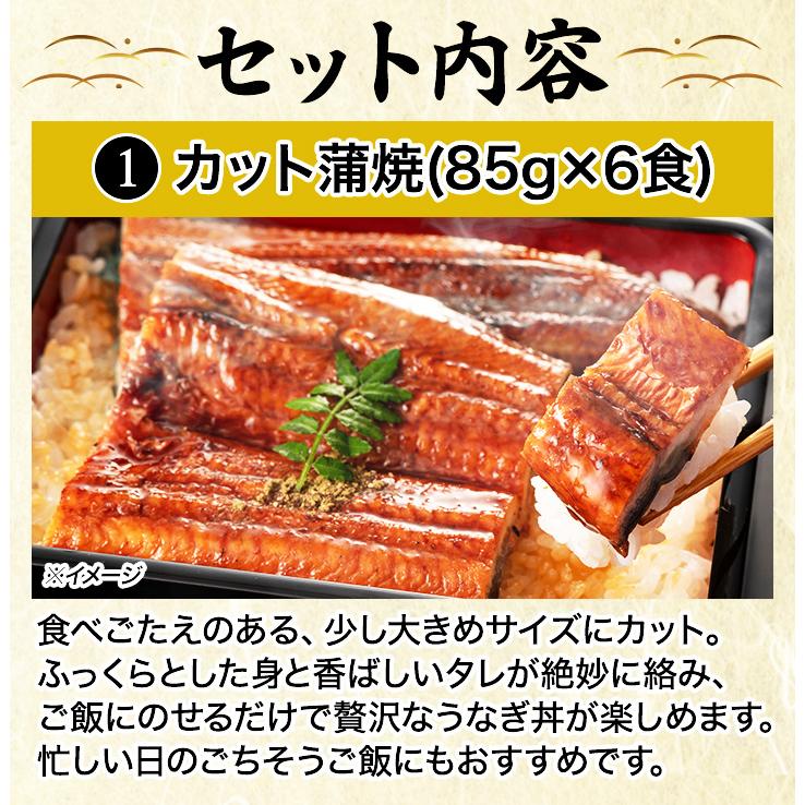 うなぎ 鰻 土用の丑の日 ギフト 快適生活 得用 鰻処藤野商店監修「国産