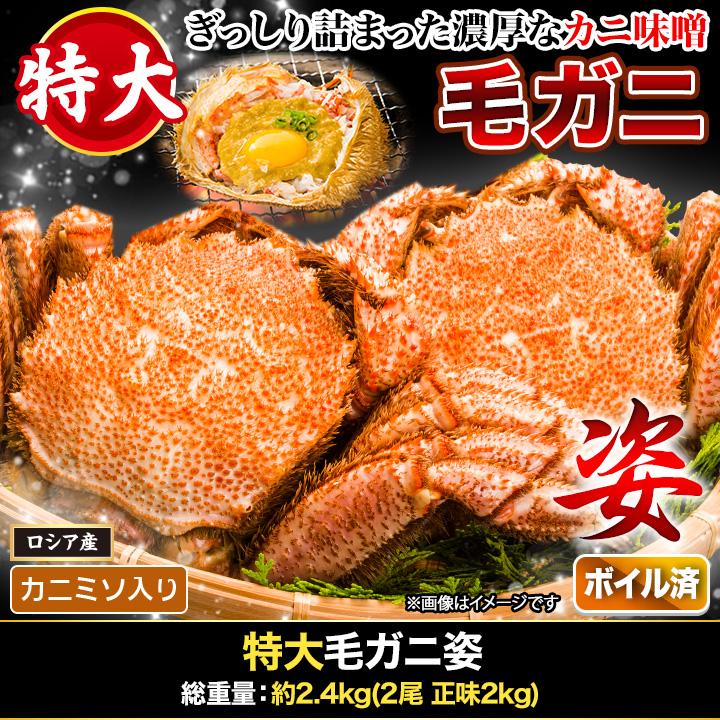 2.4kg かに カニ 蟹 毛ガニ 毛がに 毛蟹 けがに かに味噌 蟹みそ 味噌