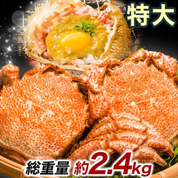 2.4kg かに カニ 蟹 毛ガニ 毛がに 毛蟹 けがに かに味噌 蟹みそ 味噌