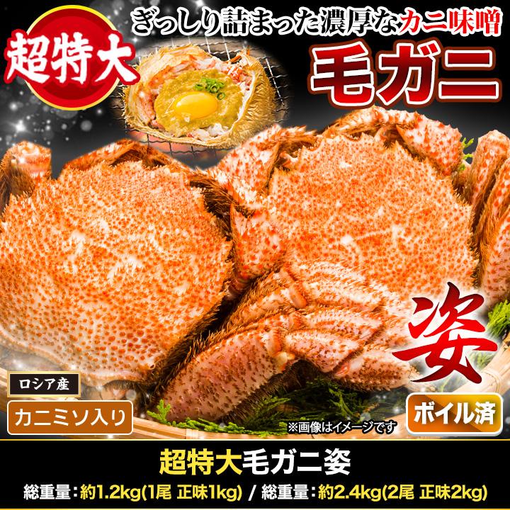 2.4kg かに カニ 蟹 超特大毛ガニ姿 毛がに 毛蟹 けがに かに味噌 蟹みそ 味噌 ボイル 蒸し 大型毛ガニ姿 快適生活 カニ味噌 爆買