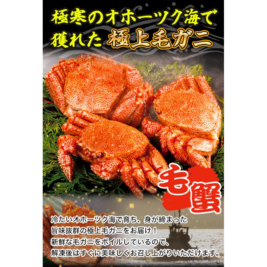 2.4kg かに カニ 蟹 超特大毛ガニ姿 毛がに 毛蟹 けがに かに味噌 蟹みそ 味噌 ボイル 蒸し 大型毛ガニ姿 快適生活 カニ味噌 爆買