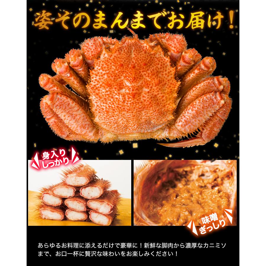 2.4kg かに カニ 蟹 超特大毛ガニ姿 毛がに 毛蟹 けがに かに味噌 蟹みそ 味噌 ボイル 蒸し 大型毛ガニ姿 快適生活 カニ味噌 爆買