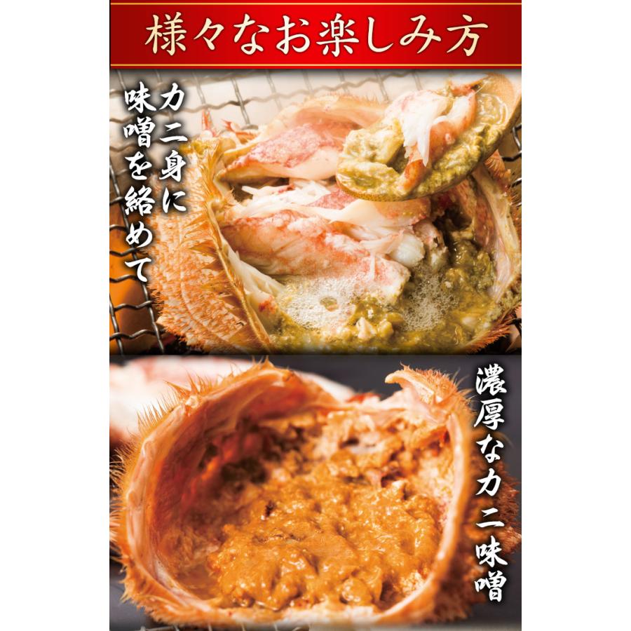 2.4kg かに カニ 蟹 超特大毛ガニ姿 毛がに 毛蟹 けがに かに味噌 蟹みそ 味噌 ボイル 蒸し 大型毛ガニ姿 快適生活 カニ味噌 爆買