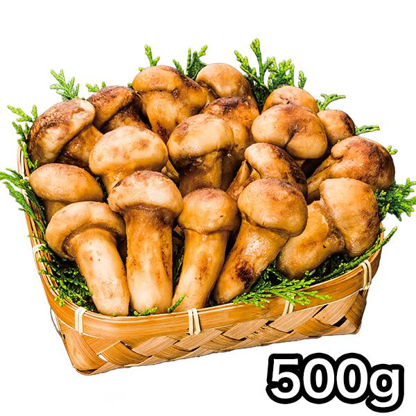 マツタケ まつたけ 天然 快適生活 天然高級 松茸つぼみ 500g つぼみ