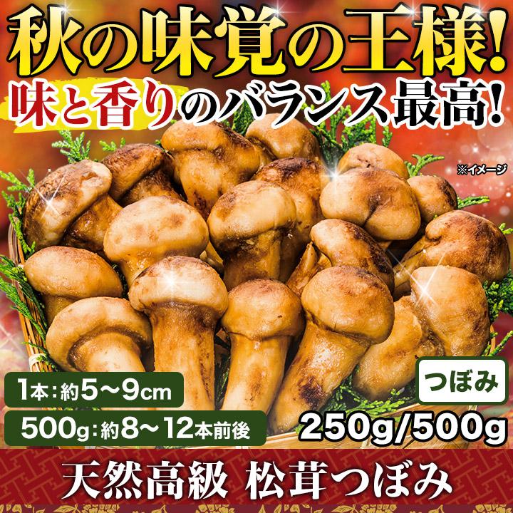 松茸　北海道　500g 訳あり　⑤ 楽天市場】＼訳アリ特価／ 松茸 生松茸 冷凍 500g 1000g 1500g 1kg 4