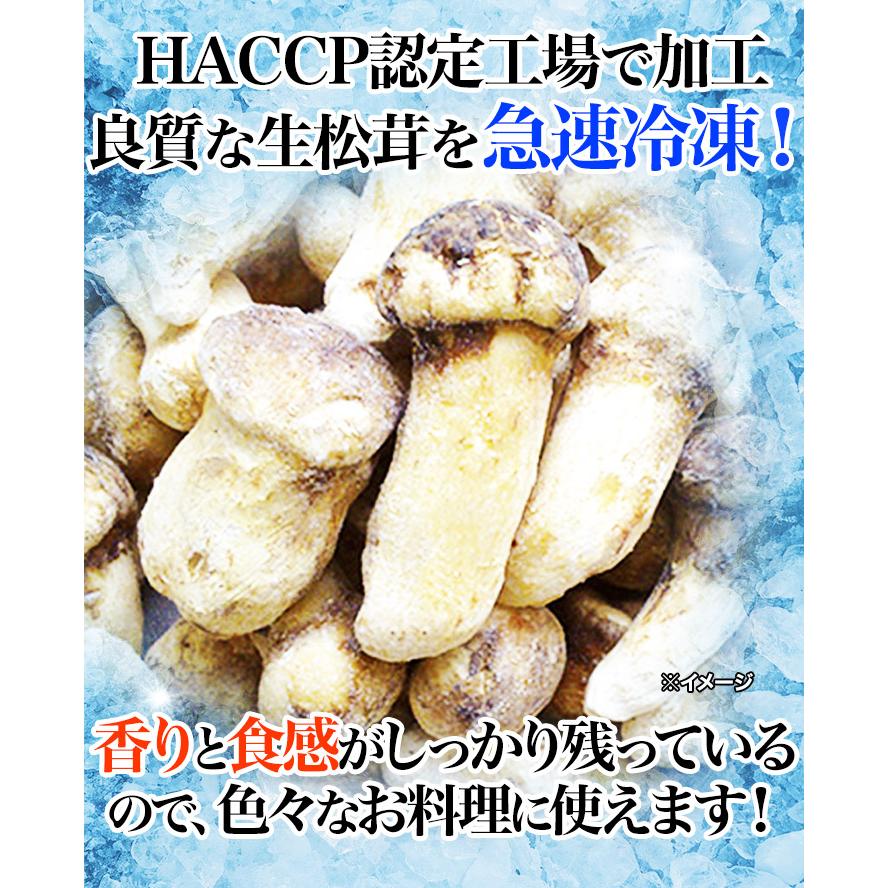 マツタケ まつたけ 天然 快適生活 天然高級 松茸つぼみ 500g つぼみ