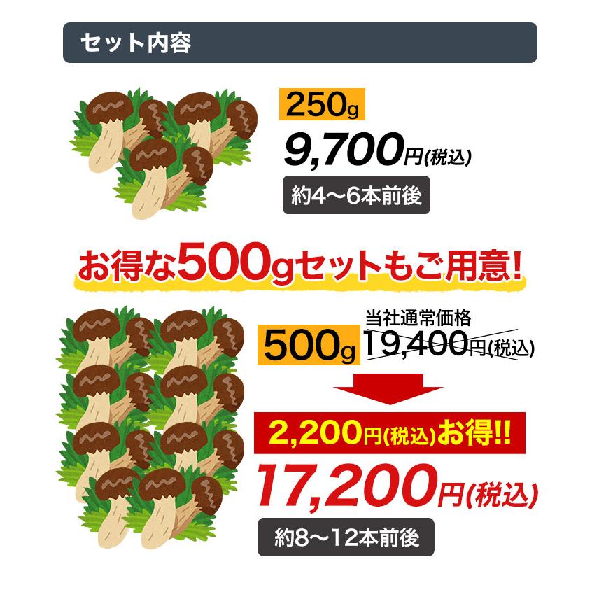 マツタケ まつたけ 天然 快適生活 天然高級 松茸つぼみ 500g つぼみ