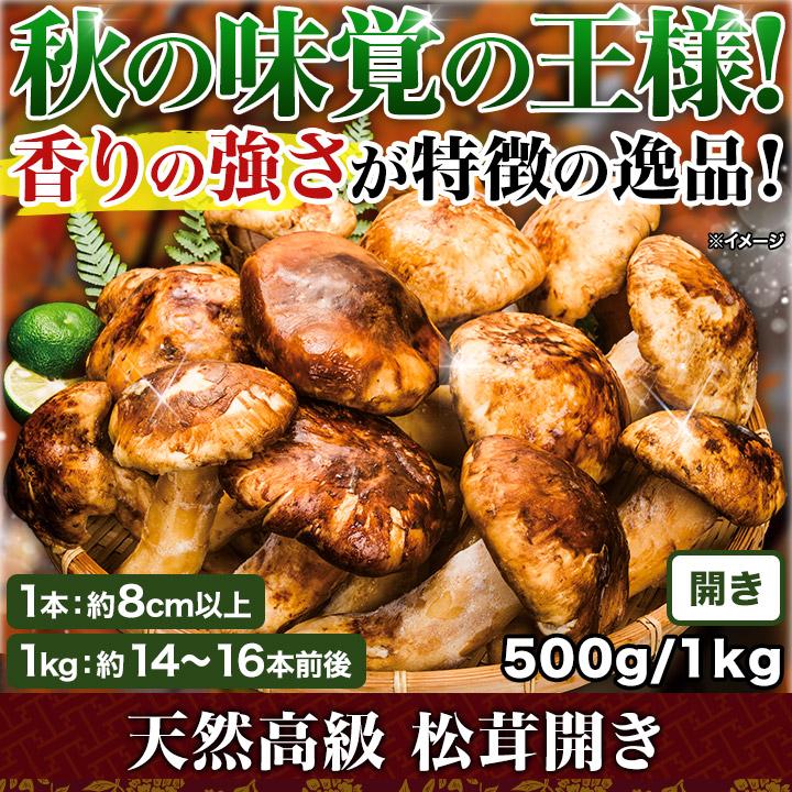 マツタケ まつたけ 天然 快適生活 天然高級 松茸開き 500g