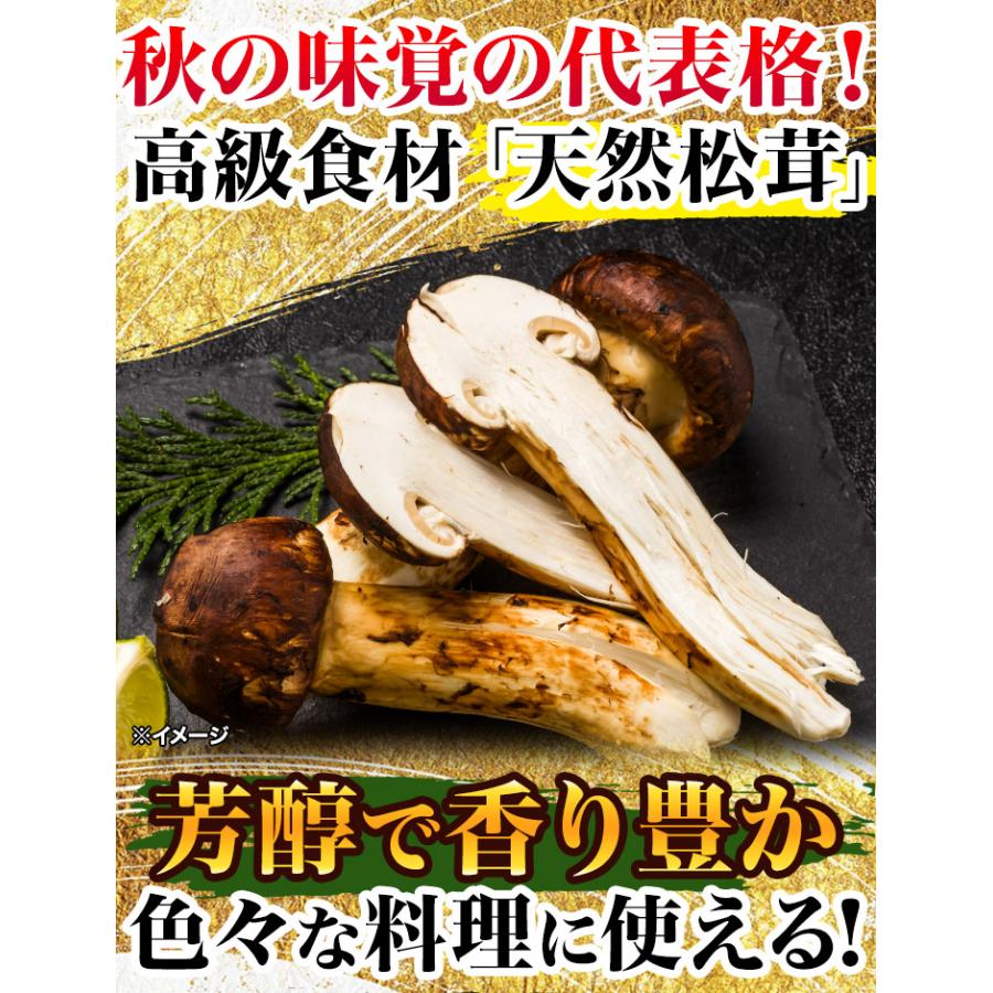 松茸終盤特売品・1kg 松茸終盤特売・早い者勝ち1kg