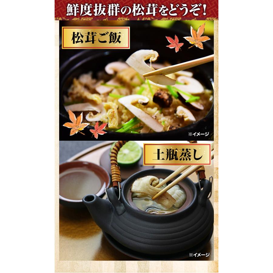 マツタケ まつたけ 天然 快適生活 天然高級 松茸開き 1kg ひらき 開き 土瓶蒸し 松茸ご飯 秋 和食 爆買_5