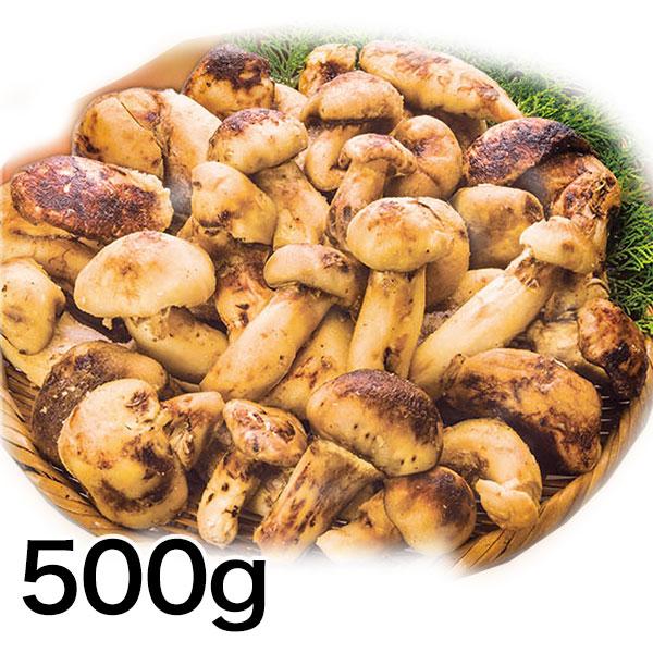 マツタケ まつたけ 天然 快適生活 天然高級 松茸不揃い 500g 土瓶蒸し
