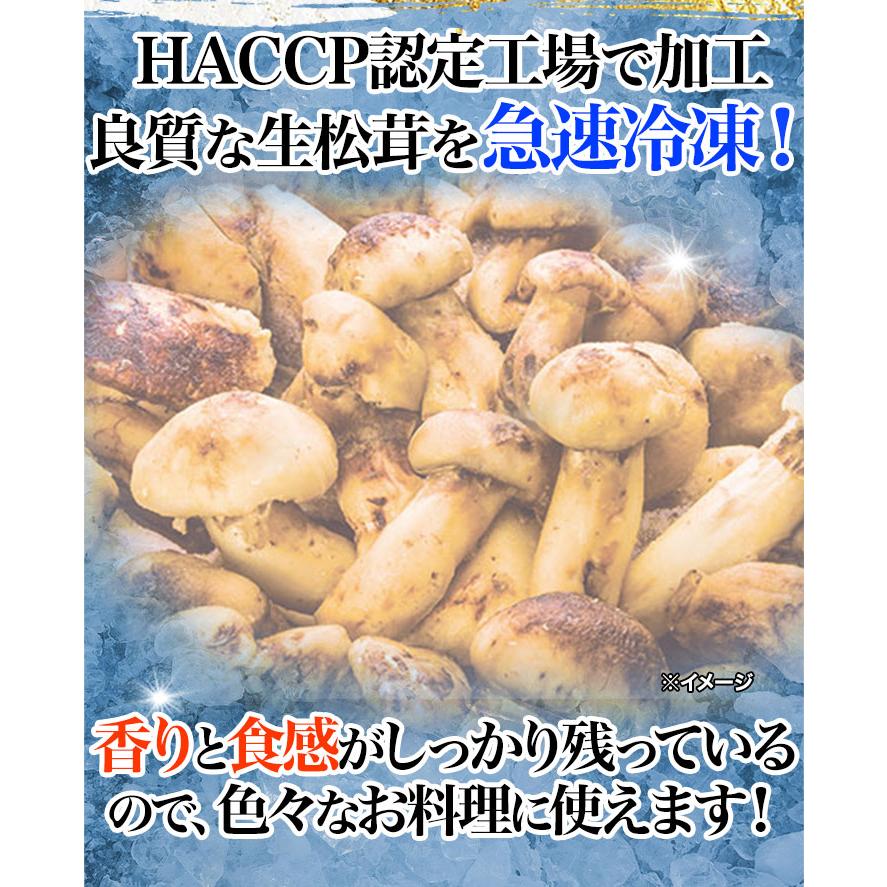 マツタケ まつたけ 天然 快適生活 天然高級 松茸不揃い 500g 土瓶蒸し