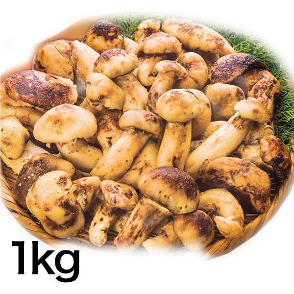 マツタケ まつたけ 天然 快適生活 天然高級 松茸不揃い 1kg 土瓶蒸し