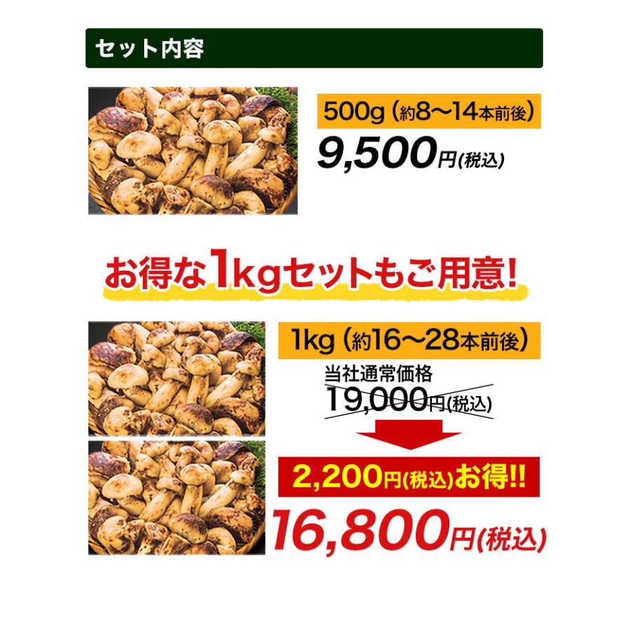 マツタケ まつたけ 天然 快適生活 天然高級 松茸不揃い 1kg 土瓶蒸し