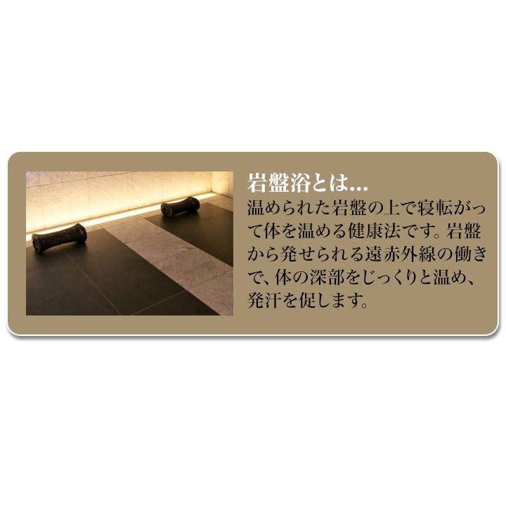 快適生活 掛け布団にもなる「あったか岩盤浴寝袋」 2枚 キャンプ