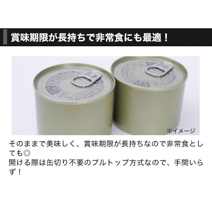 缶詰 イカ 極洋「国産真イカの缶詰」 135g×20缶 おかず おつまみ 快適