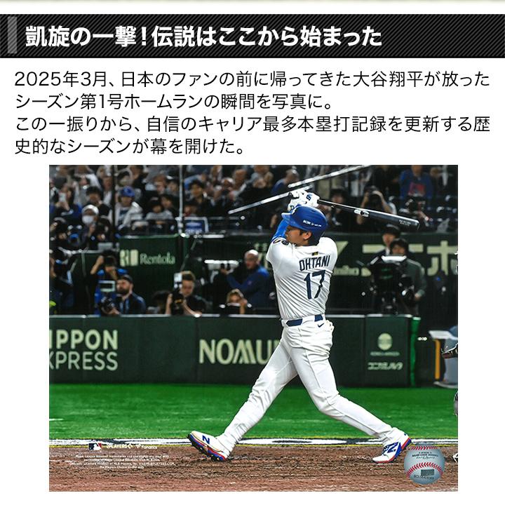 野球 MLB ベースボール サインボール 快適生活 2025年MVP大谷翔平記念