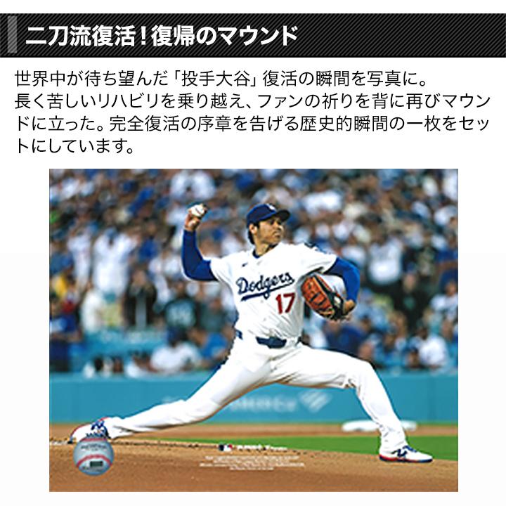 野球 MLB ベースボール サインボール 快適生活 2025年MVP大谷翔平記念