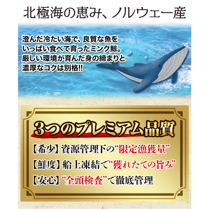 ミンク 鯨 くじら クジラ 赤身 刺身 鯨肉 クジラ肉 竜田揚げ