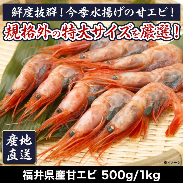 甘海老 お刺身 快適生活 福井県産甘エビ 500g 揚げ物 味噌汁 新鮮 爆買