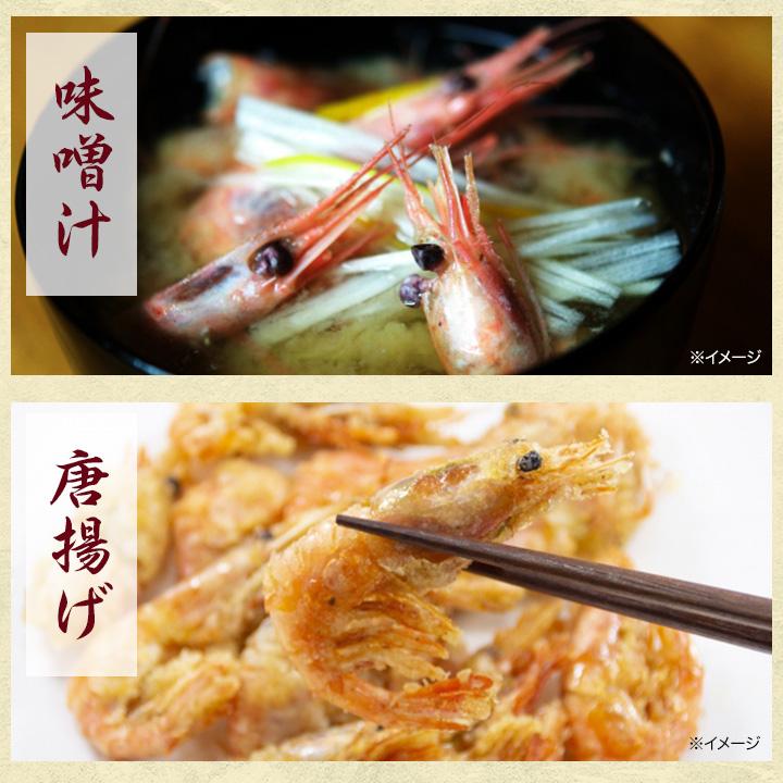 甘海老 お刺身 快適生活 福井県産甘エビ 500g 揚げ物 味噌汁 新鮮 爆買