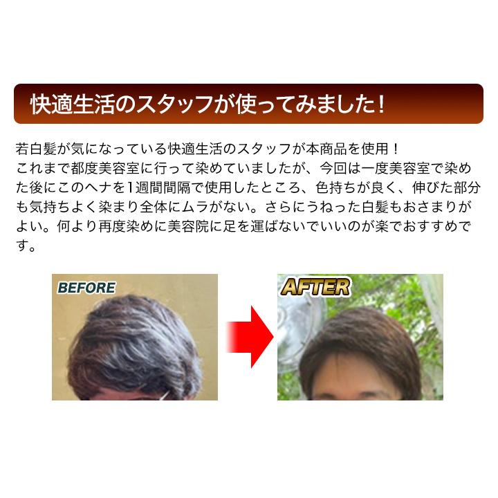 ヘアカラー トリートメント 白髪染め 快適生活 テンスターヘナカラー