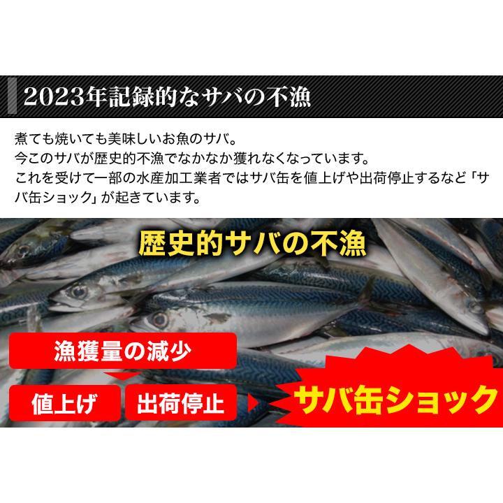 缶詰 非常用 味噌煮快適生活 骨も丸ごと「美味しいさば缶」 48缶 味付