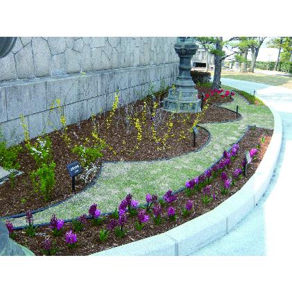 エッジキング【3m×5本set/15m】見切り材 舗装材 ランドスケープエッジ