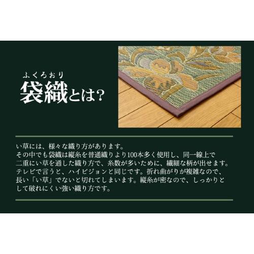 爆買 い草 カーペット ラグ インテリア 夏用 涼しい 江戸間3畳 約174×261cm 「DXエクセレント」 【北海道・沖縄・離島 送料別】_2