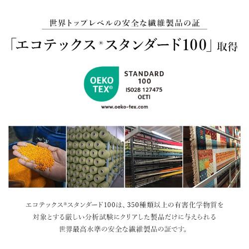 https://item-shopping.c.yimg.jp/i/n/kenso-mtt_1321700190101_6_d_20260212162731