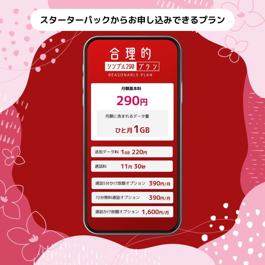 日本通信SIM スターターパック ドコモネットワーク NT-ST2-P[NTST2P]｜kenso-mtt｜02