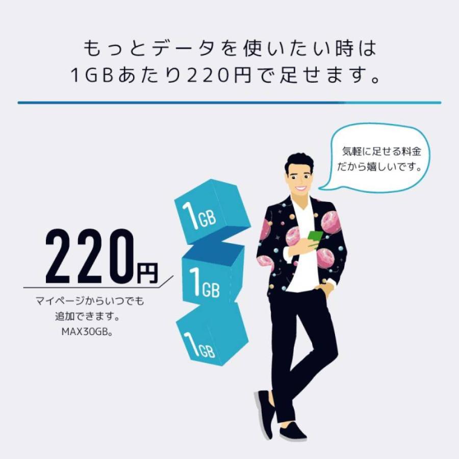 日本通信SIM スターターパック ドコモネットワーク NT-ST2-P[NTST2P]｜kenso-mtt｜06