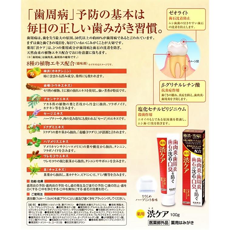 常盤薬品 薬用渋ケア 100g ３本セット 医薬部外品 薬用歯磨き 歯肉炎 オンラインショップ 歯石の沈着 口臭を防ぐ 歯周病 歯周炎