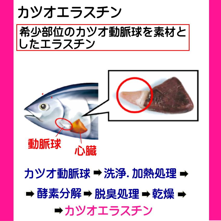 エラスチン サプリ 60日分 (機能性表示食品)お試し価格 コラーゲン 肌