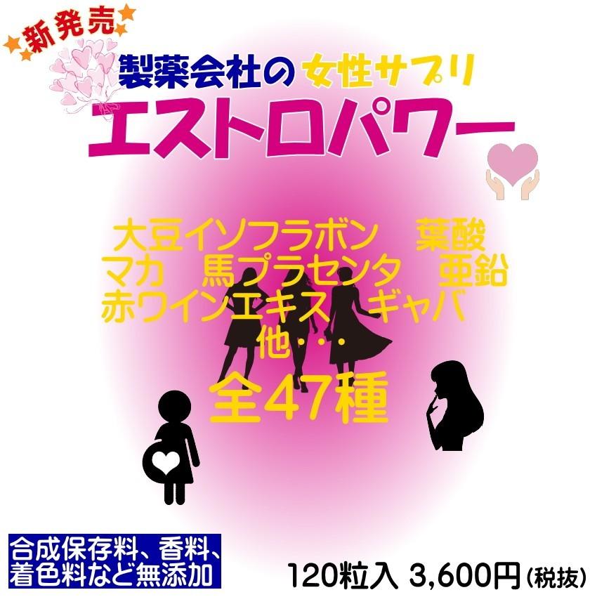 大豆イソフラボン +46成分 エクオール 産生成分 お得な3個セット 女性 サプリ エクオール エストロパワー｜kensyoku-ryohin｜04