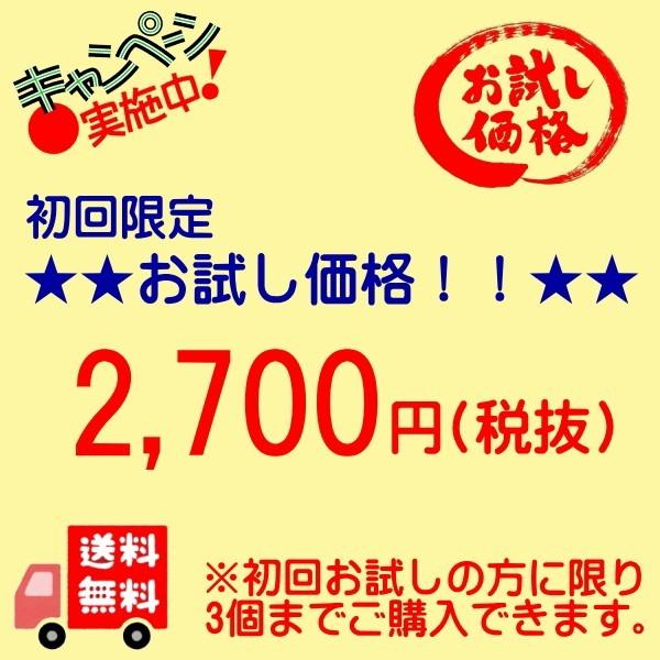 イチョウ葉 エキス お試し価格 Dha Epa サプリ 90粒 リニアフラボン 超人気