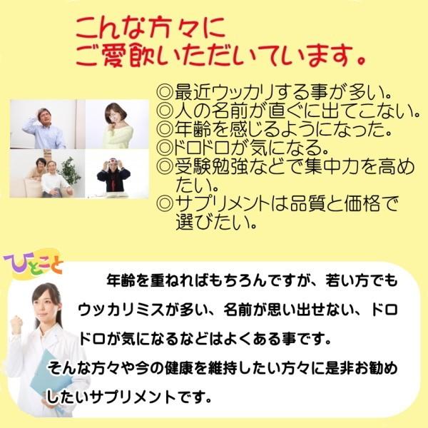 イチョウ葉 エキス お試し価格 Dha Epa サプリ 90粒 リニアフラボン 超人気
