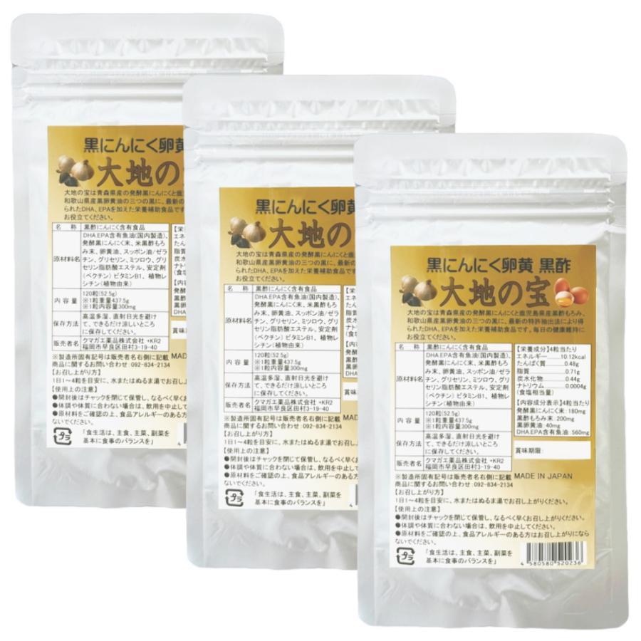 黒 にんにく卵黄 黒酢 120粒×3個お得セット  大地の宝 黒酢にんにく すっぽん サプリ