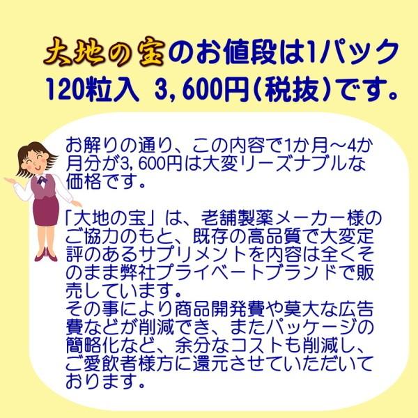 黒 にんにく卵黄 黒酢 すっぽん 120粒　お試し価格　大地の宝 黒酢にんにく スッポン ニンニク サプリ yfs｜kensyoku-ryohin｜10