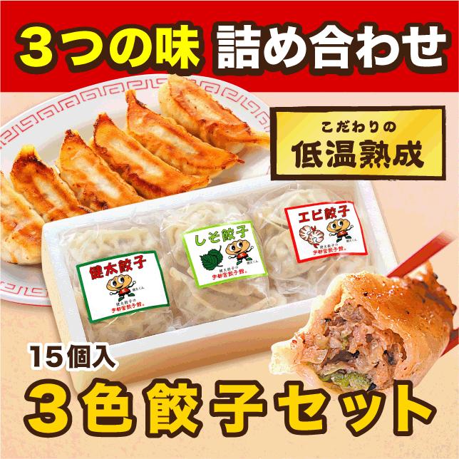 おみやげ３色餃子セット 宇都宮餃子館 餃子 ぎょうざ 惣菜 点心 冷凍餃子 栃木県 宇都宮餃子会加盟店 健太餃子館 通販 Yahoo ショッピング