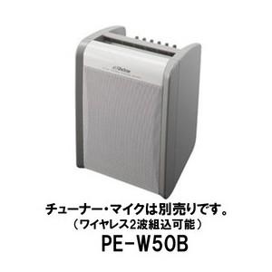 JVC ポータブル ワイヤレスアンプ PE-W50B ( 本体のみ) ベースモデル アンプ 内蔵スピーカー ポータブル 音響 ビクター ケンウッド  KENWOOD 送料無料