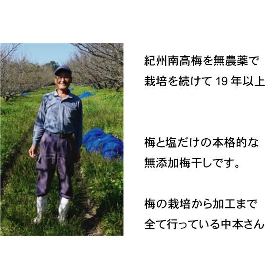 清流の里 (無農薬つぶれ南高梅) 1kg 中本梅農園 : 健康ストア健友館