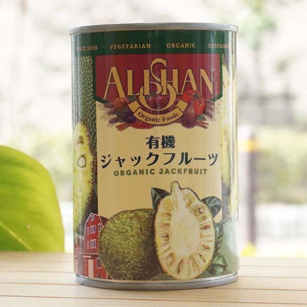 有機ジャックフルーツ 缶 送料0円 400g アリサン