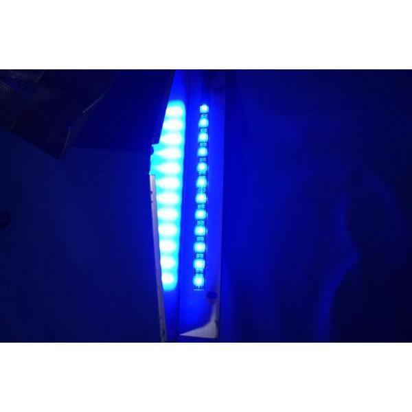 ジェットイノウエ 大型用LEDとんがりナンバープレート枠 ブルー